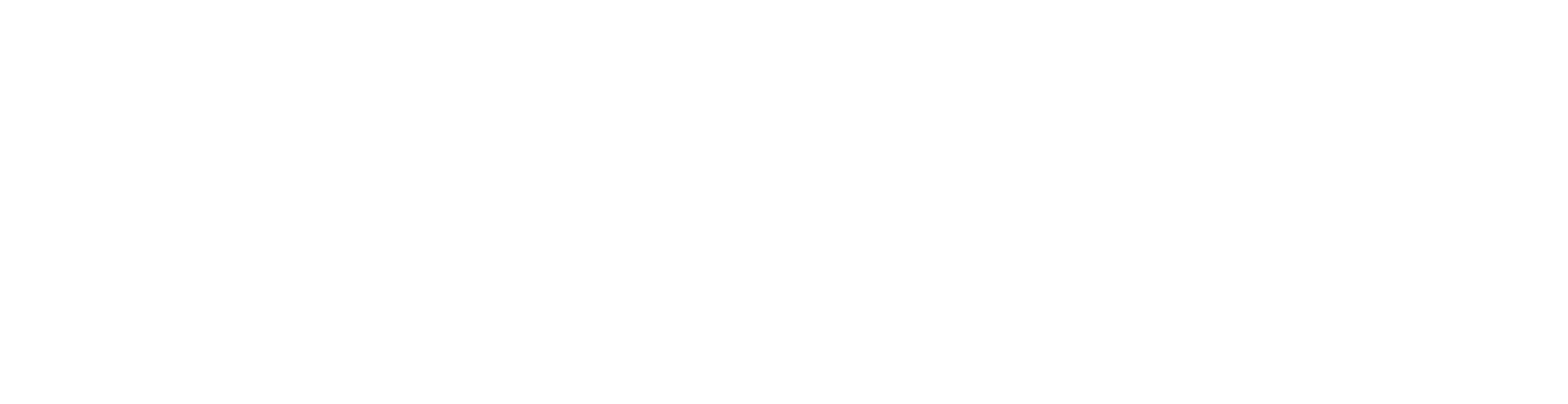 logo-white